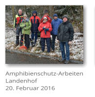 Amphibienschutz-Arbeiten Landenhof 20. Februar 2016