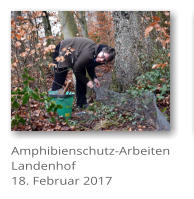 Amphibienschutz-Arbeiten Landenhof 18. Februar 2017