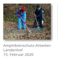 Amphibienschutz-Arbeiten Landenhof 15. Februar 2020