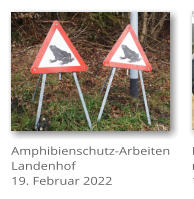 Amphibienschutz-Arbeiten Landenhof 19. Februar 2022