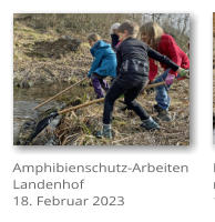 Amphibienschutz-Arbeiten Landenhof 18. Februar 2023