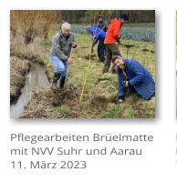 Pflegearbeiten Brelmatte mit NVV Suhr und Aarau 11. Mrz 2023