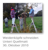 Weidenkpfe schneiden Unteri Quellmatt 30. Oktober 2010