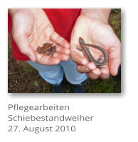 Pflegearbeiten Schiebestandweiher 27. August 2010