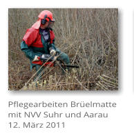 Pflegearbeiten Brelmatte mit NVV Suhr und Aarau 12. Mrz 2011