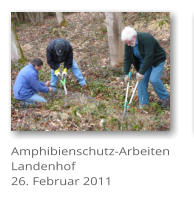 Amphibienschutz-Arbeiten Landenhof 26. Februar 2011