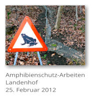 Amphibienschutz-Arbeiten Landenhof 25. Februar 2012