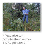 Pflegearbeiten Schiebestandweiher 31. August 2012