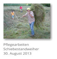 Pflegearbeiten Schiebestandweiher 30. August 2013