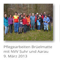 Pflegearbeiten Brelmatte mit NVV Suhr und Aarau 9. Mrz 2013