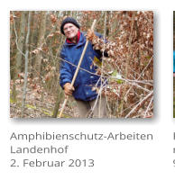Amphibienschutz-Arbeiten  Landenhof 2. Februar 2013