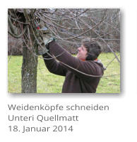 Weidenkpfe schneiden Unteri Quellmatt 18. Januar 2014