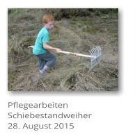 Pflegearbeiten Schiebestandweiher 28. August 2015