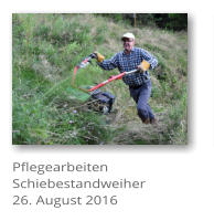 Pflegearbeiten Schiebestandweiher 26. August 2016