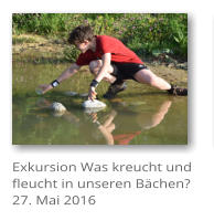 Exkursion Was kreucht und fleucht in unseren Bchen?27. Mai 2016