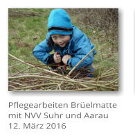 Pflegearbeiten Brelmatte mit NVV Suhr und Aarau 12. Mrz 2016