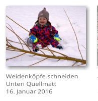 Weidenkpfe schneiden Unteri Quellmatt 16. Januar 2016