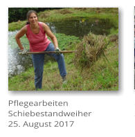 Pflegearbeiten Schiebestandweiher 25. August 2017