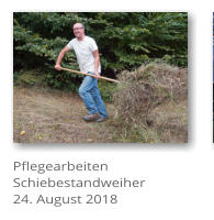Pflegearbeiten Schiebestandweiher 24. August 2018