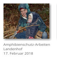 Amphibienschutz-Arbeiten Landenhof 17. Februar 2018