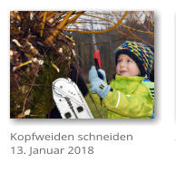 Kopfweiden schneiden 13. Januar 2018