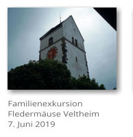 Familienexkursion Fledermuse Veltheim7. Juni 2019