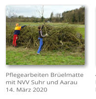 Pflegearbeiten Brelmatte mit NVV Suhr und Aarau 14. Mrz 2020