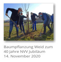 Baumpflanzung Weid zum 40 Jahre NVV Jubilum 14. November 2020