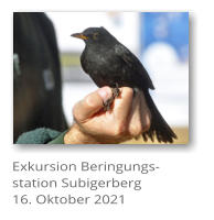Exkursion Beringungs-station Subigerberg16. Oktober 2021