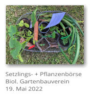 Setzlings- + Pflanzenbrse Biol. Gartenbauverein 19. Mai 2022