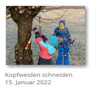 Kopfweiden schneiden 15. Januar 2022