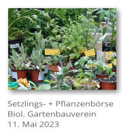 Setzlings- + Pflanzenbrse Biol. Gartenbauverein 11. Mai 2023