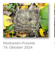 Nistkasten-Putzete 19. Oktober 2024