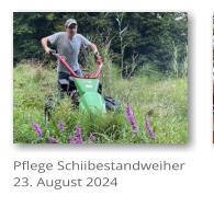 Pflege Schiibestandweiher 23. August 2024