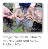 Pflegearbeiten Brelmatte mit NVV Suhr und Aarau 9. Mrz 2024