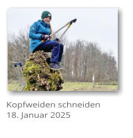 Kopfweiden schneiden 18. Januar 2025