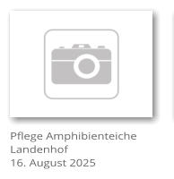 Pflege Amphibienteiche Landenhof 16. August 2025