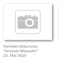 Familien-Exkursion Grosses Mausohr 23. Mai 2025