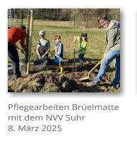 Pflegearbeiten Brelmatte mit dem NVV Suhr 8. Mrz 2025