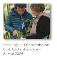 Setzlings- + Pflanzenbrse Biol. Gartenbauverein 8. Mai 2025