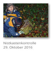 Nistkastenkontrolle 29. Oktober 2016
