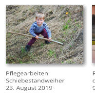 Pflegearbeiten Schiebestandweiher 23. August 2019