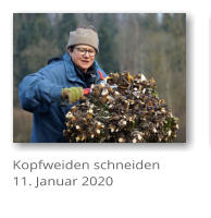 Kopfweiden schneiden 11. Januar 2020