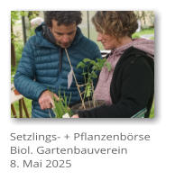 Setzlings- + Pflanzenbrse Biol. Gartenbauverein 8. Mai 2025