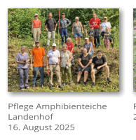 Pflege Amphibienteiche Landenhof 16. August 2025