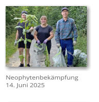 Neophytenbekmpfung 14. Juni 2025