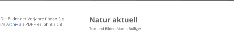 Natur aktuell Text und Bilder: Martin Bolliger    Die Bilder der Vorjahre finden Sie im Archiv als PDF  es lohnt sich!