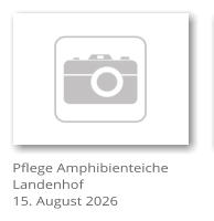 Pflege Amphibienteiche Landenhof 15. August 2026
