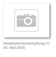 Neophytenbek�mpfung (1) 30. Mai 2026